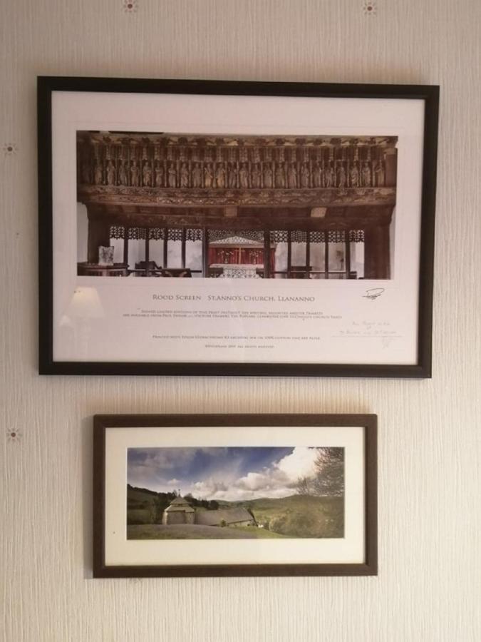 Lion Hotel Llanbister Eksteriør billede
