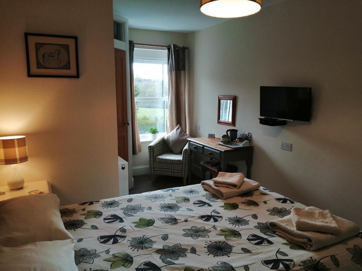 Lion Hotel Llanbister Eksteriør billede
